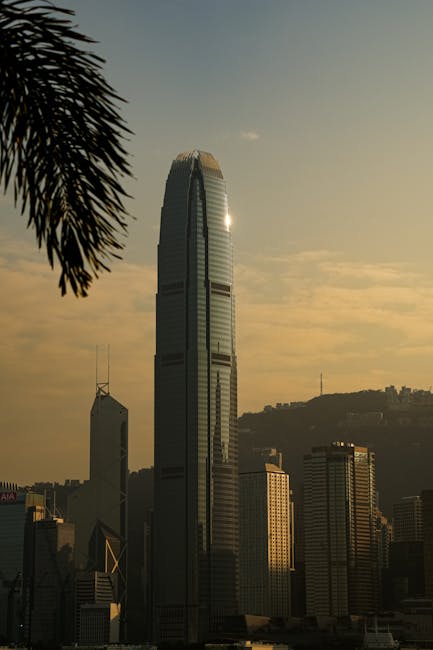 1142 real world assets in conversation with chainlinks sergey nazarov real-world-assets-in-conversation-with-chainlinks-sergey-nazarov