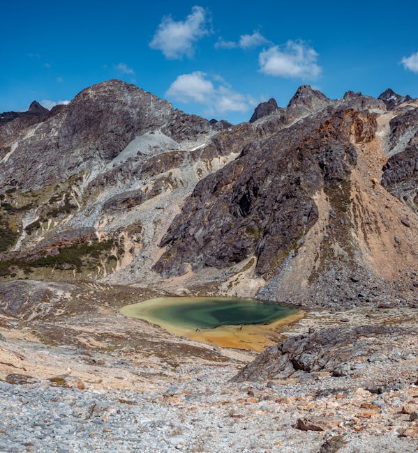 The remote locale that shielded plants during Earth’s biggest mass extinction