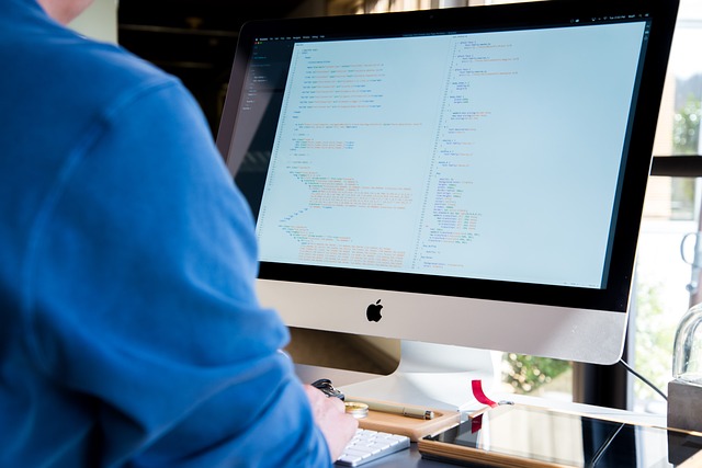IBM CEO says AI will boost programmers, not replace them