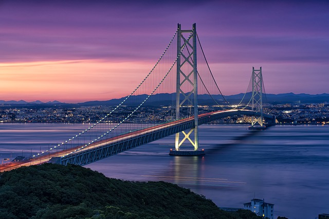 Everything to you need to know about Japan