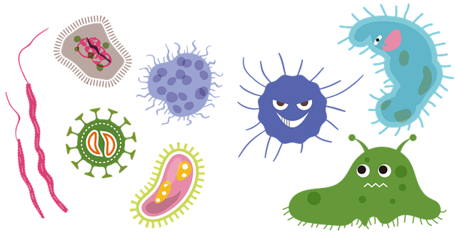 As Trump molds military leadership, do politics outrank merit?