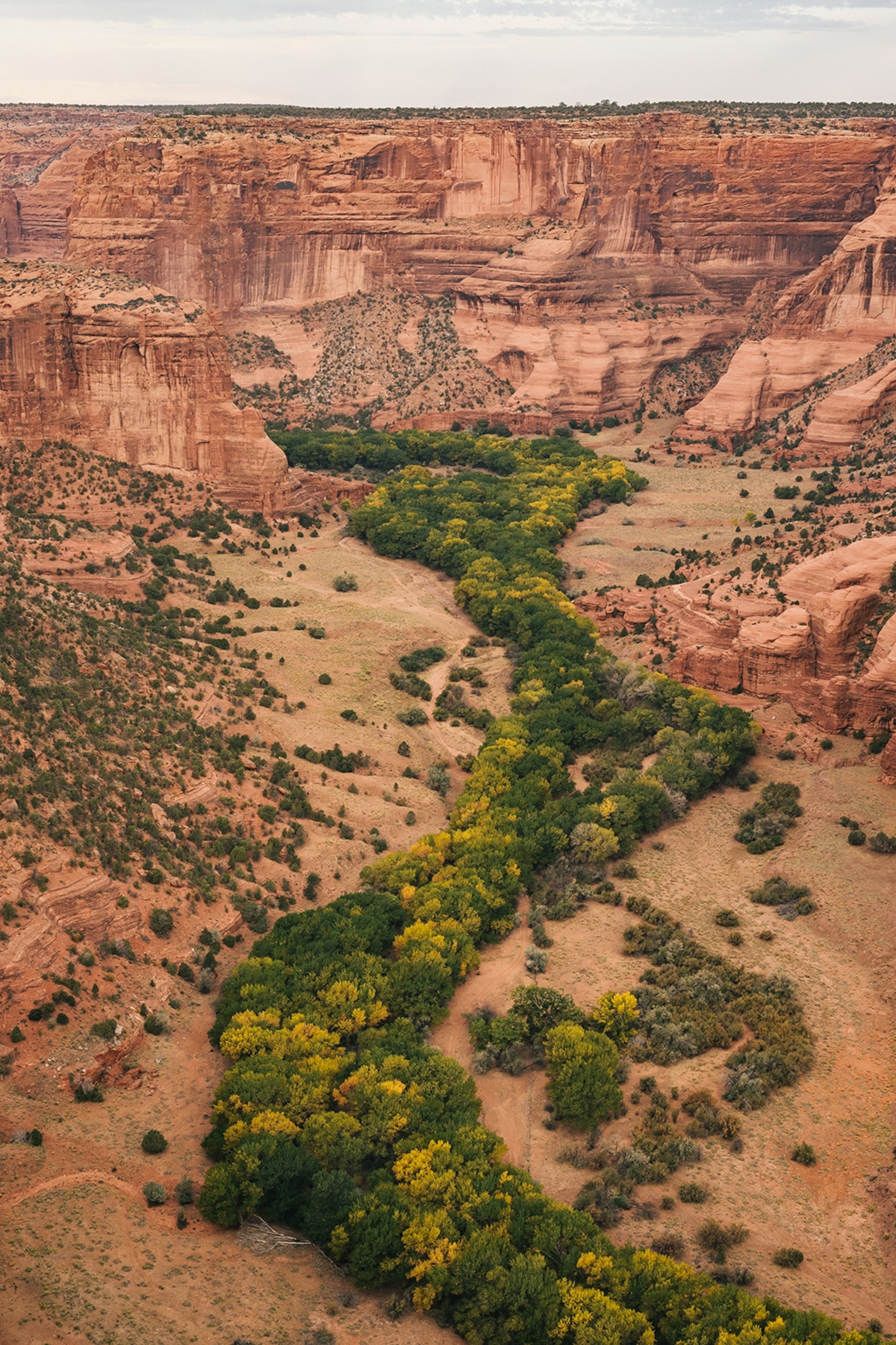 A canyon valley with a river-like line of green bushes running in between.