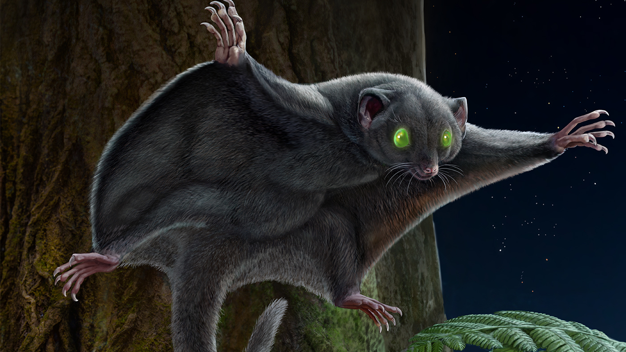 an illustration of a black rodent-like early mammal with a membrane like a flying squirrel flying through a forest