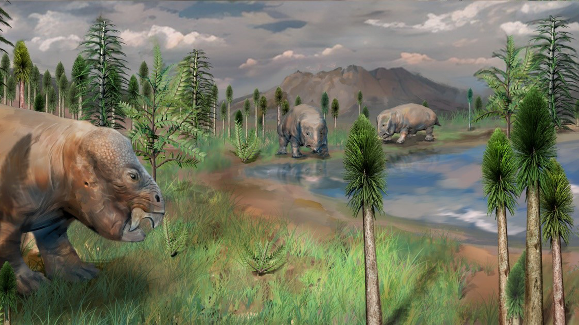 Artistic reconstruction of the terrestrial ecological landscape before the end Permian mass extinction based on fossil palynomorphs, plants, and tetrapods recovered, as well as sedimentological data from the South Taodonggou Section