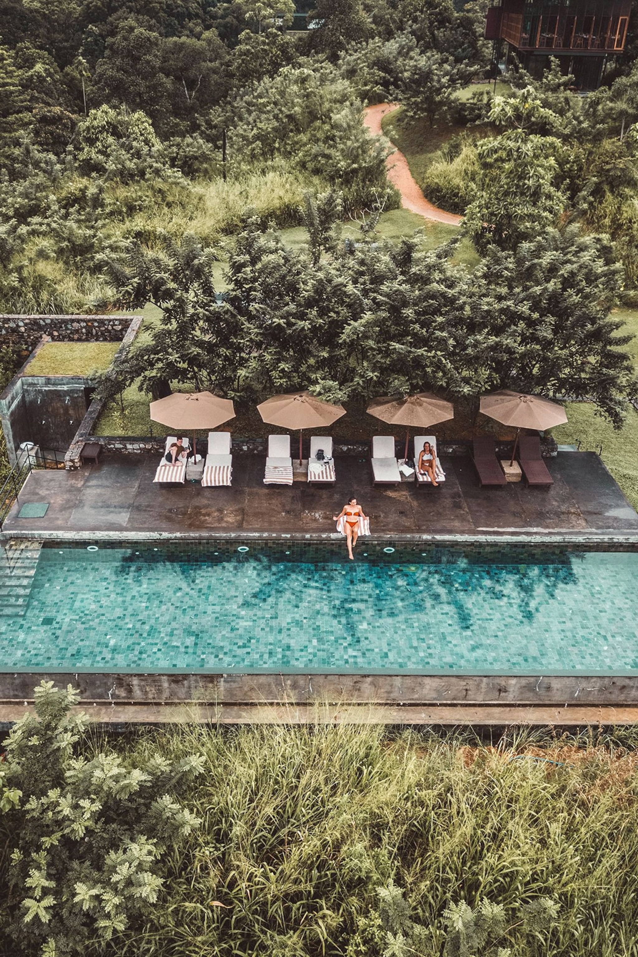 A look from above onto a rectangular swimming pool and lounging area in the midst of greenery.