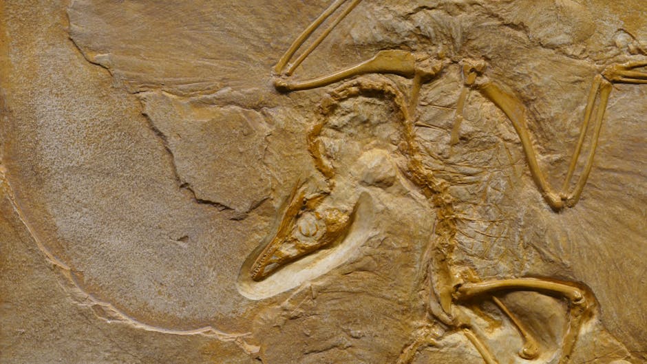 Is there archaeological evidence for Jesus’ crucifixion?