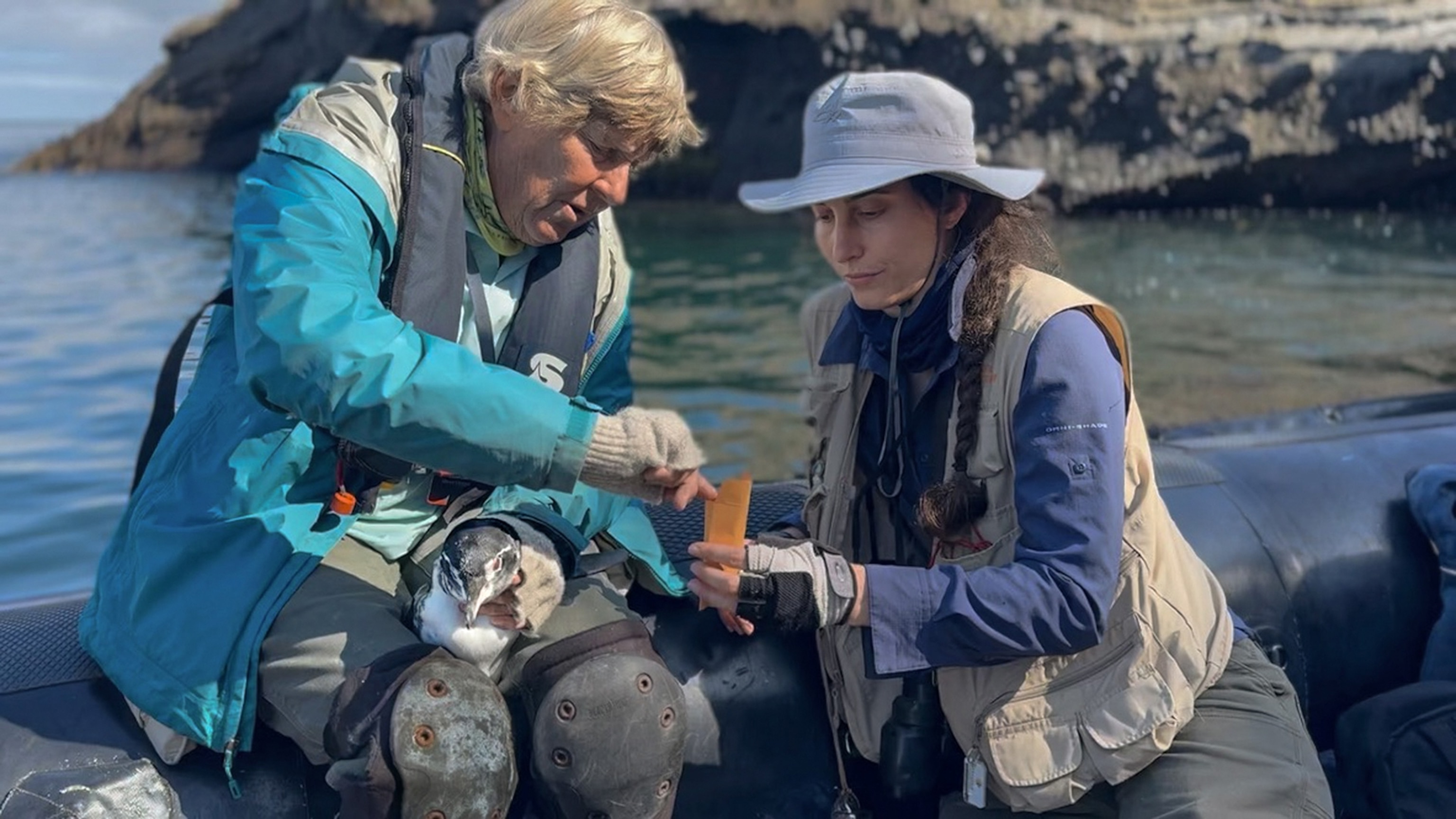 Conservation biologist and National Geographic Explorer Dee Boersma (at left) tending to a penguin