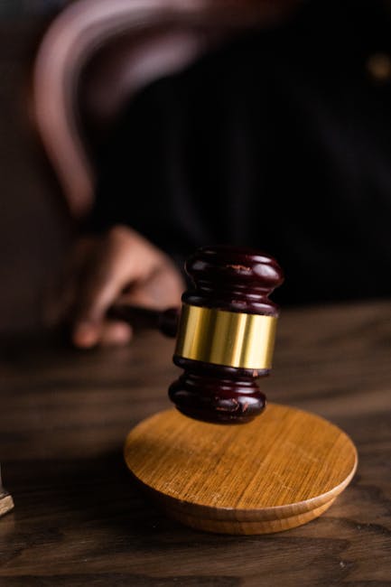 Erin Patterson: Trial of Australian woman accused of cooking fatal mushroom lunch begins