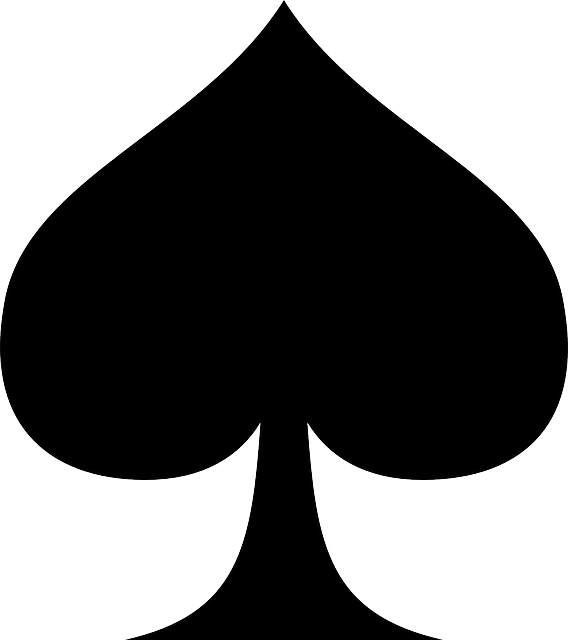 Spade Hardware Description Language