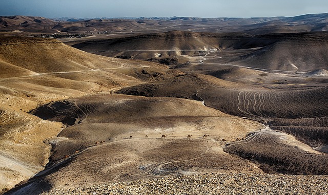 Israel to pause Gaza fighting ahead of US hostage Edan Alexander’s release by Hamas