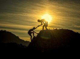 Adaptability Is the Key to Success in an Evolving Market