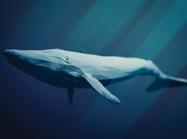 Whales heavily leveraged on Bitcoin longs – Here’s why this could backfire!