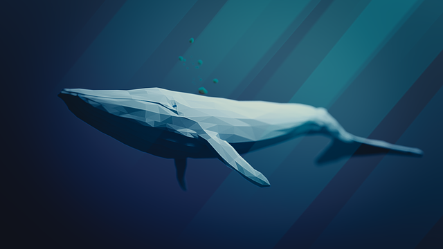 Whales heavily leveraged on Bitcoin longs – Here’s why this could backfire!