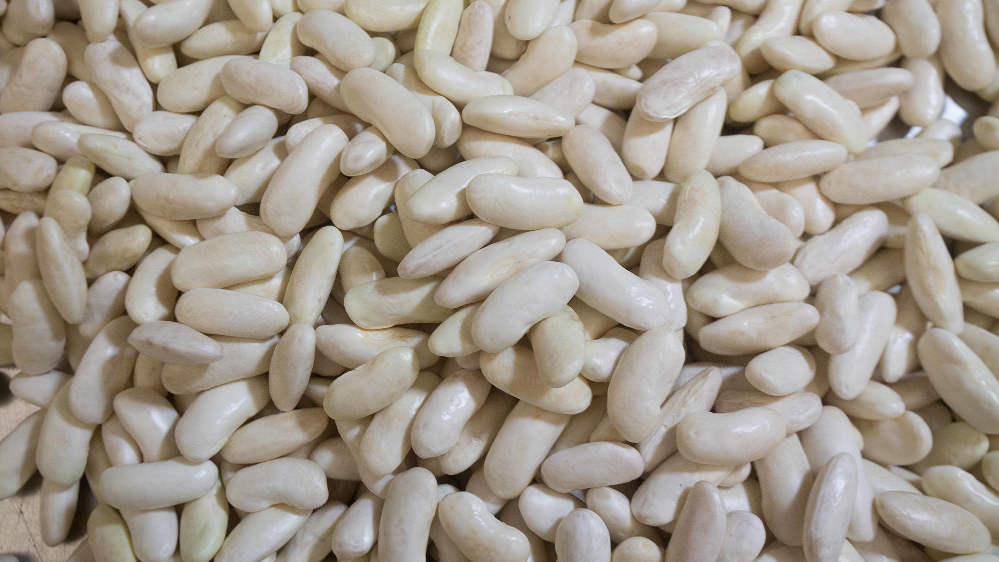 white fava beans