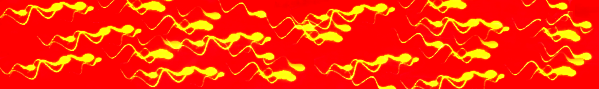 abstract pattern of yellow wavy lines on a red background