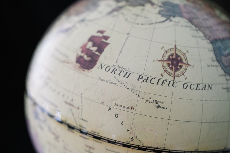13876 some countries are undermining western sanctions against russia study finds Some countries are undermining Western sanctions against Russia, study finds