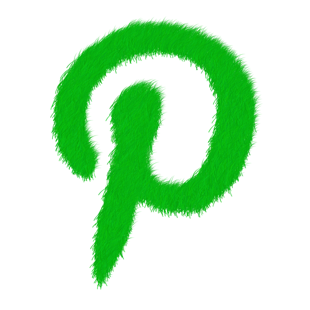 Pinterest Partners with LTK to Expand its Product Listings