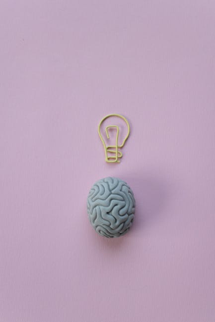 Neighborly help in the brain: Cerebral cortex networks rapidly reorganize to compensate for lost neurons
