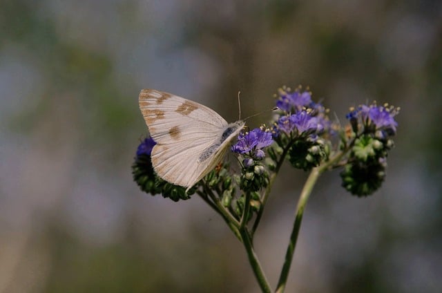 The Next Xbox Is a PC, So What Does That Mean for PS6?