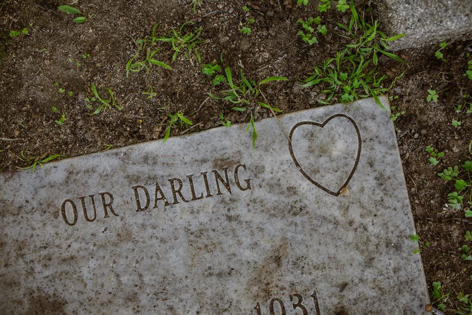 Deaths from heart attacks are way down. Here’s what’s killing us instead