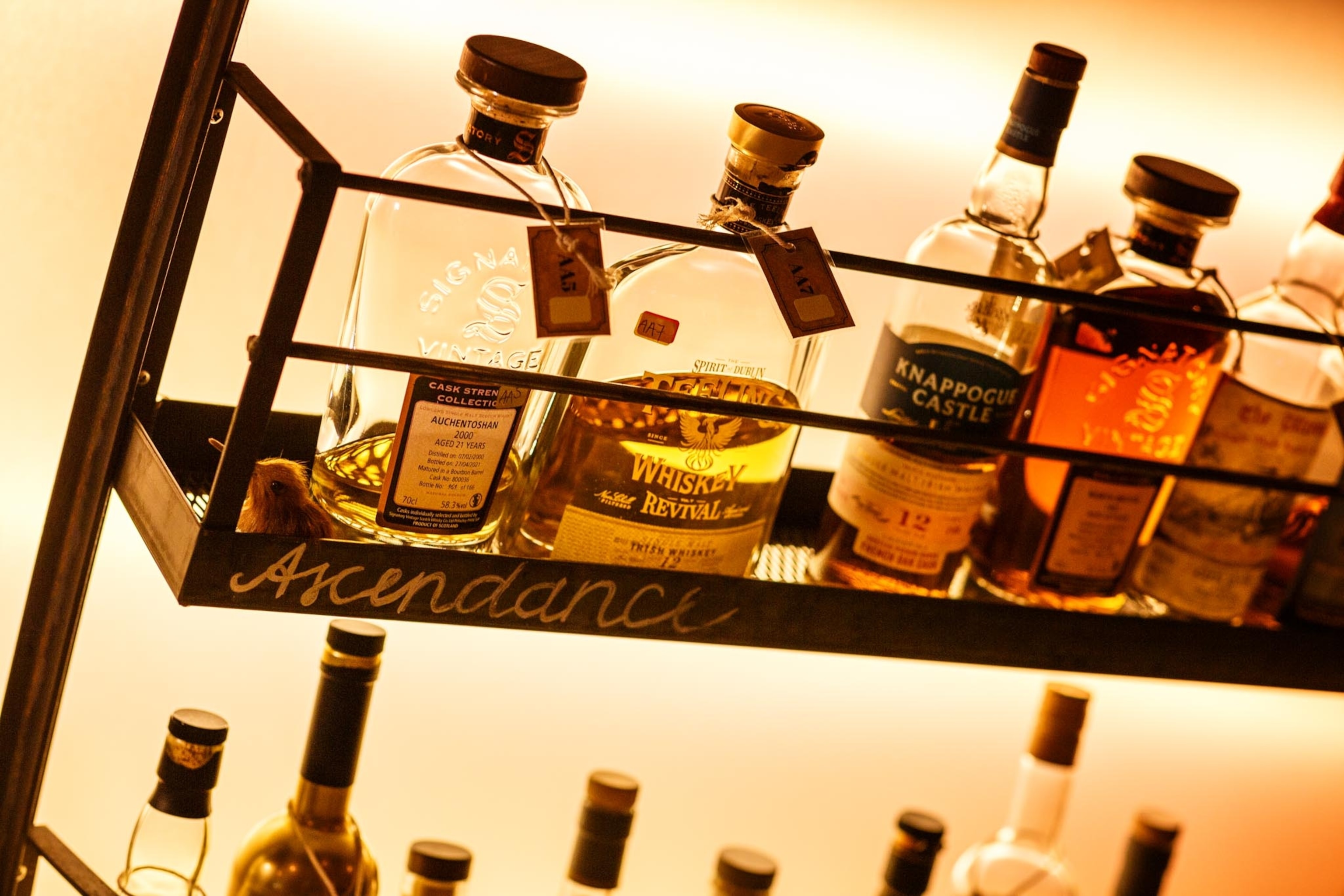 a variety of whiskies on a shelf at Malt Vault