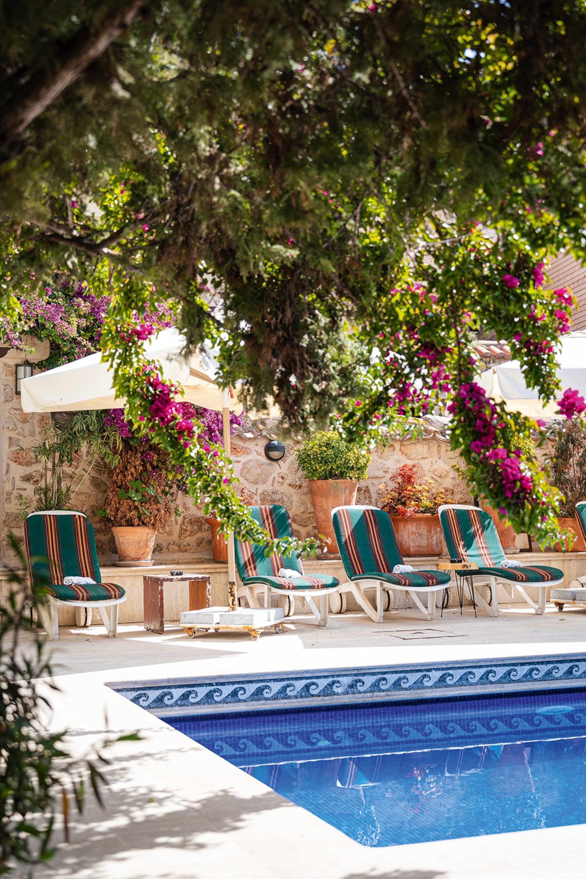 an outdoor table at the popular fish restaurant, Antalya Balik Evi