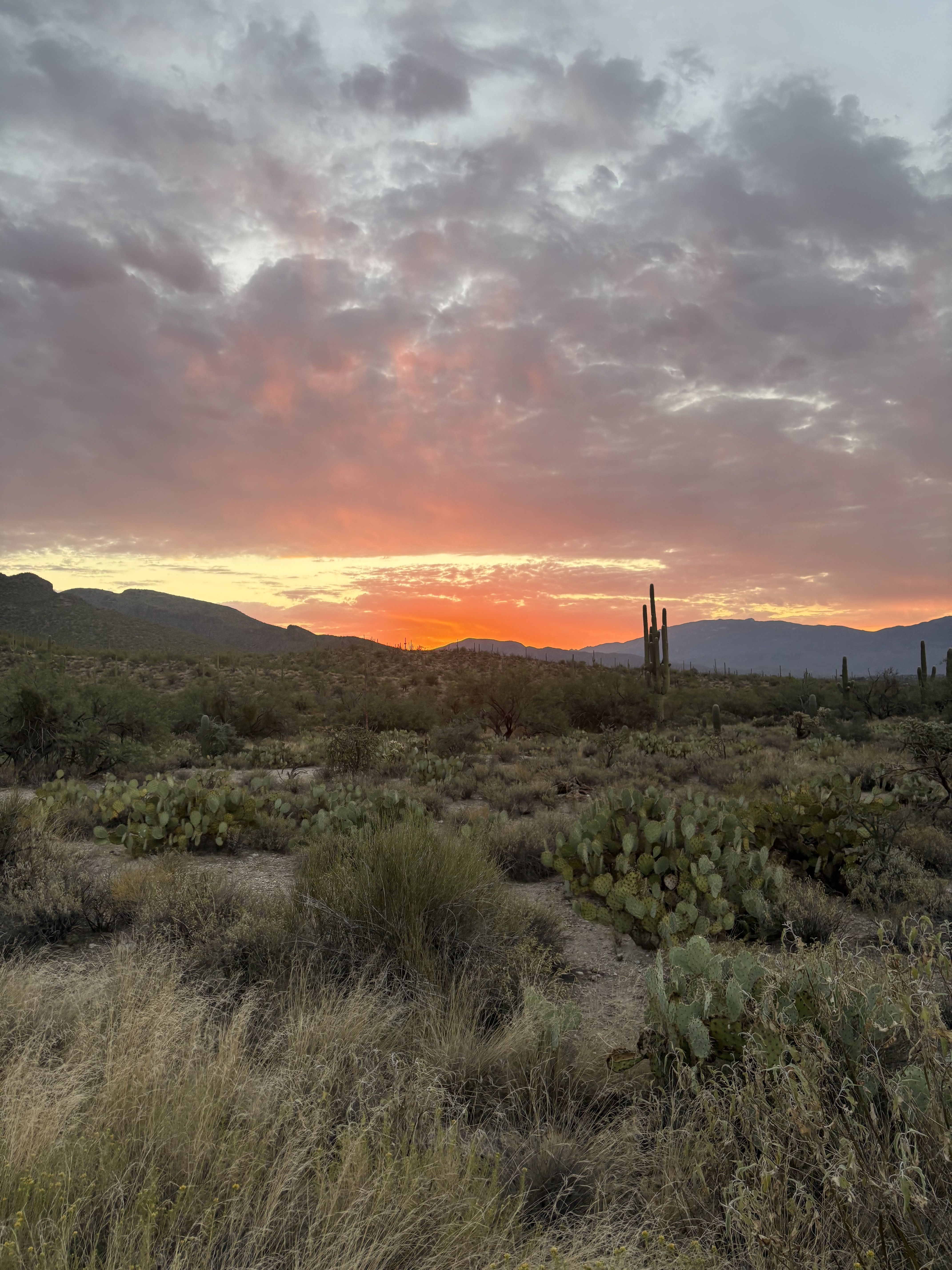sunrise at sabino canyon