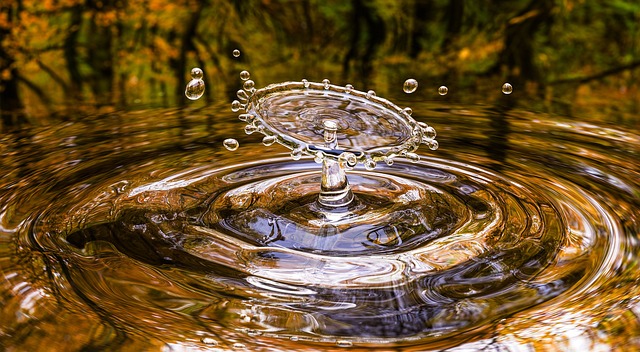 10 Pivotal Moments for Life on Earth