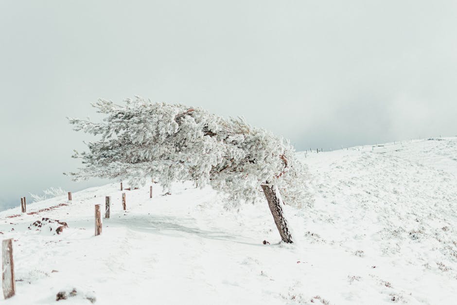 16676 former white sox pitcher world champ jenks dies Former White Sox pitcher, world champ Jenks dies