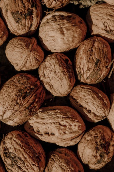 Key brain protein may hold answers for memory loss and neurodegenerative diseases