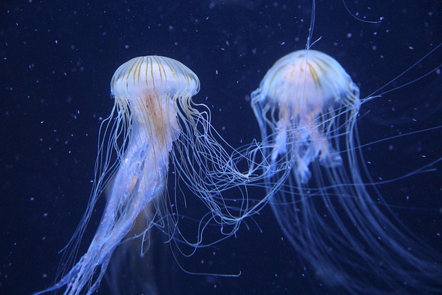 19030 the oceans are overheating and scientists say a climate tipping point may be here The oceans are overheating—and scientists say a climate tipping point may be here