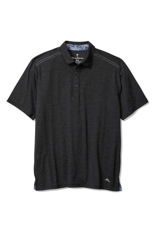 Harbor Isles Polo
