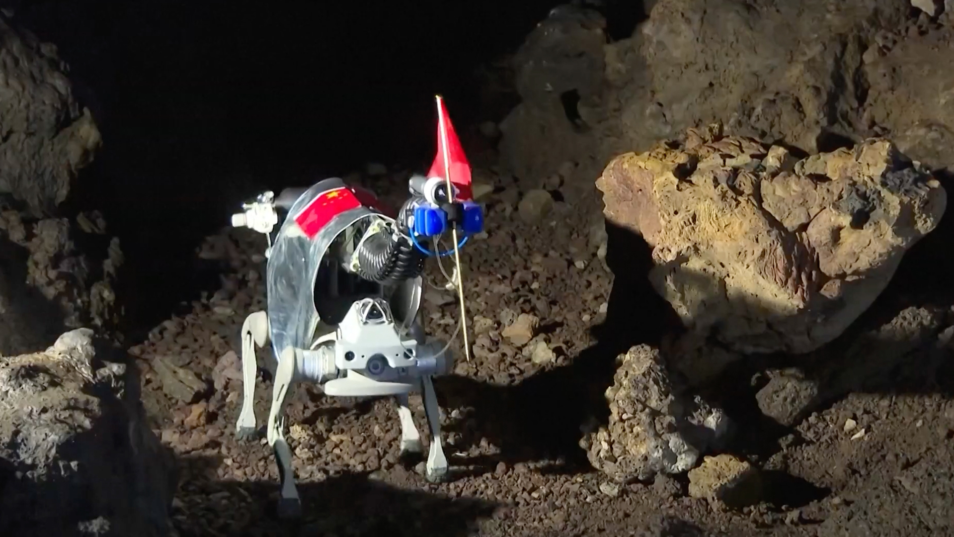 a small white dog-like robot explores a rocky cave