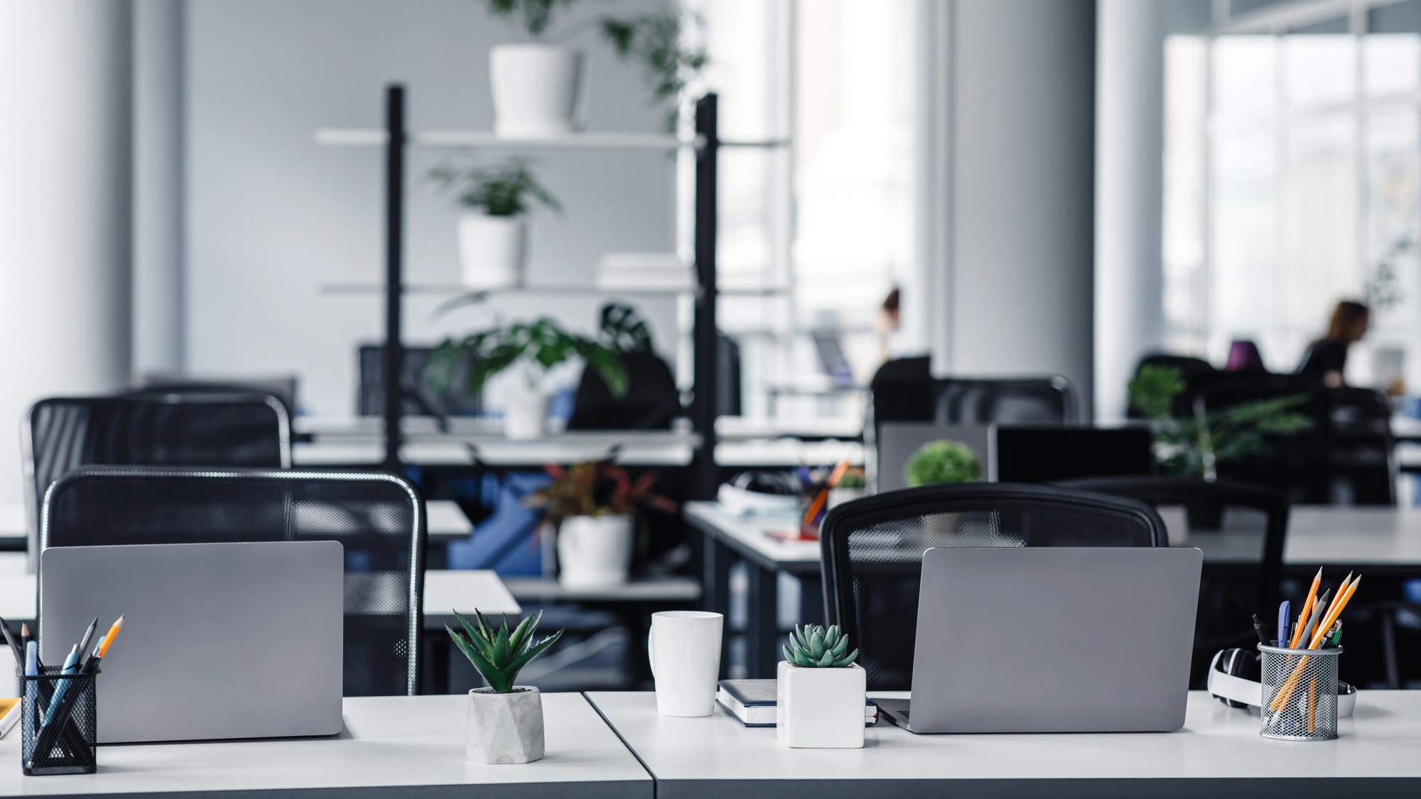 Office interior with white columns and panoramic windows in modern loft. Many green plants in pots in workroom with laptops on tables with chairs and cups at daylight, flat lay, nobody, free space