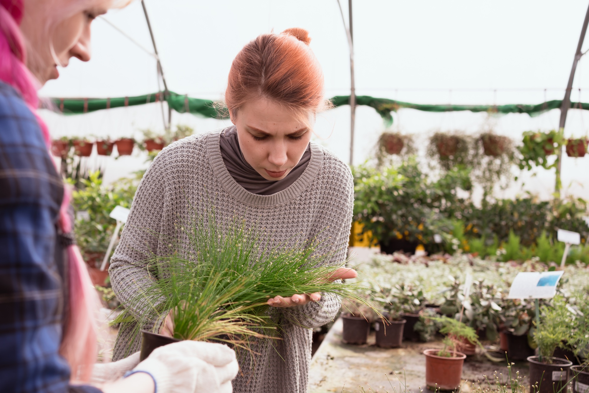 Greenhouse or retail shop worker and client