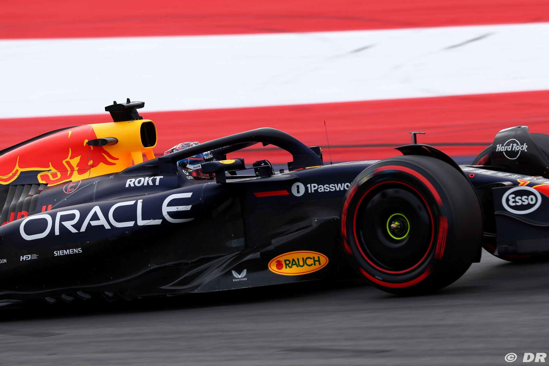 redbull1_95_-2.jpg