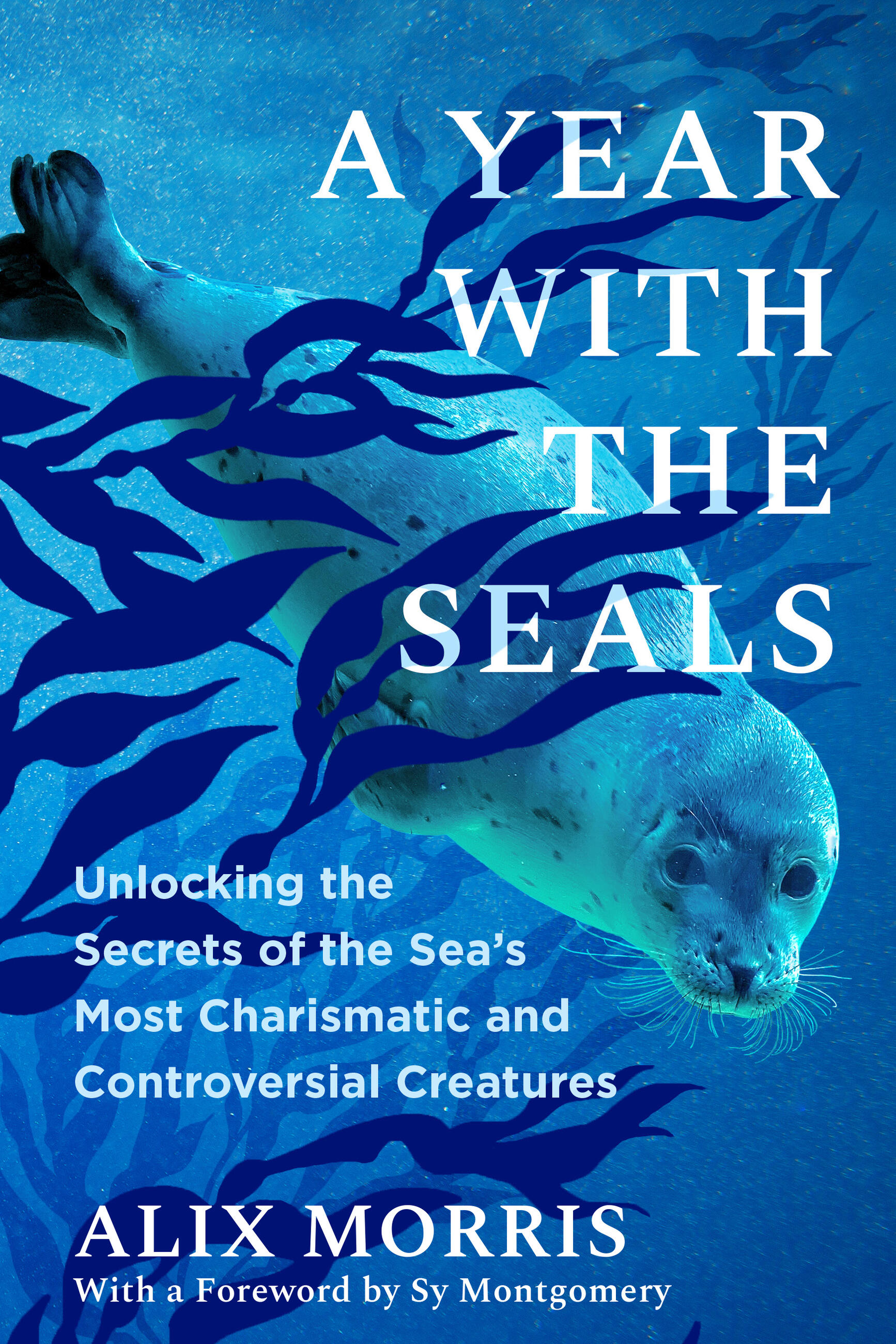 a blue book cover with a seal on it. the book is titled A YEAR WITH THE SEALS: Unlocking the Secrets of the Sea's Most Charismatic and Controversial Creatures by Alix Morris.