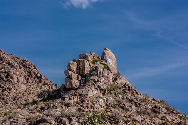 Texas Democrats Leave State to Stop Republicans’ Redistricting Plan