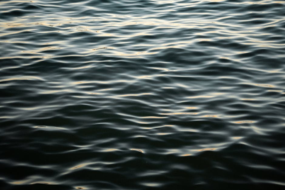 ‘Wavy Dave’ is a beefy-armed robot crab on a mating mission