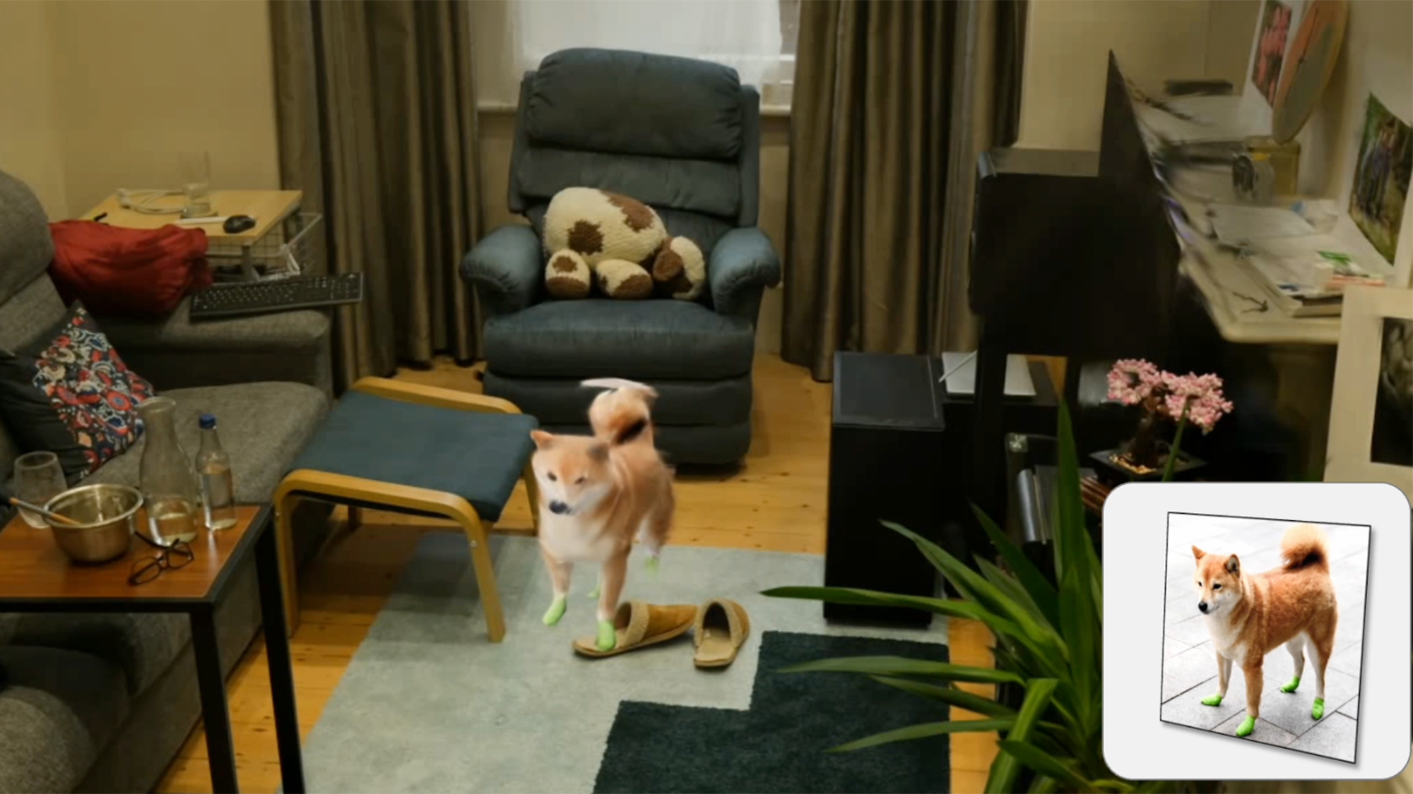 a dog in a living room created with virtual reality