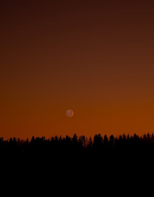 What to expect during the ‘blood moon’ total lunar eclipse on Sept. 7-8