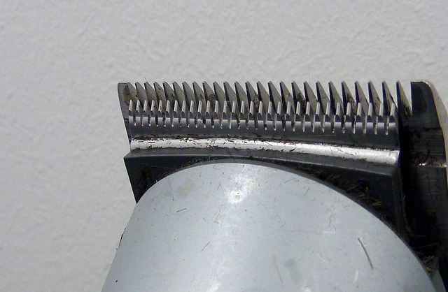 24089 the 7 best pubic hair trimmers in 2025 tested by grooming editors The 7 Best Pubic Hair Trimmers in 2025, Tested by Grooming Editors