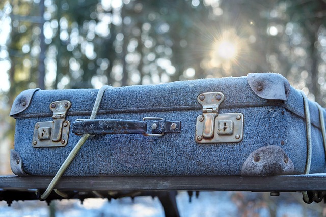 We Traveled Near And Far With 22 Suitcases To Find The Best Luggage Of 2025