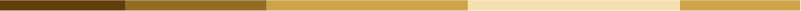 HBRExec_ColorBar_Gold Solid rule that identifies a new content section.