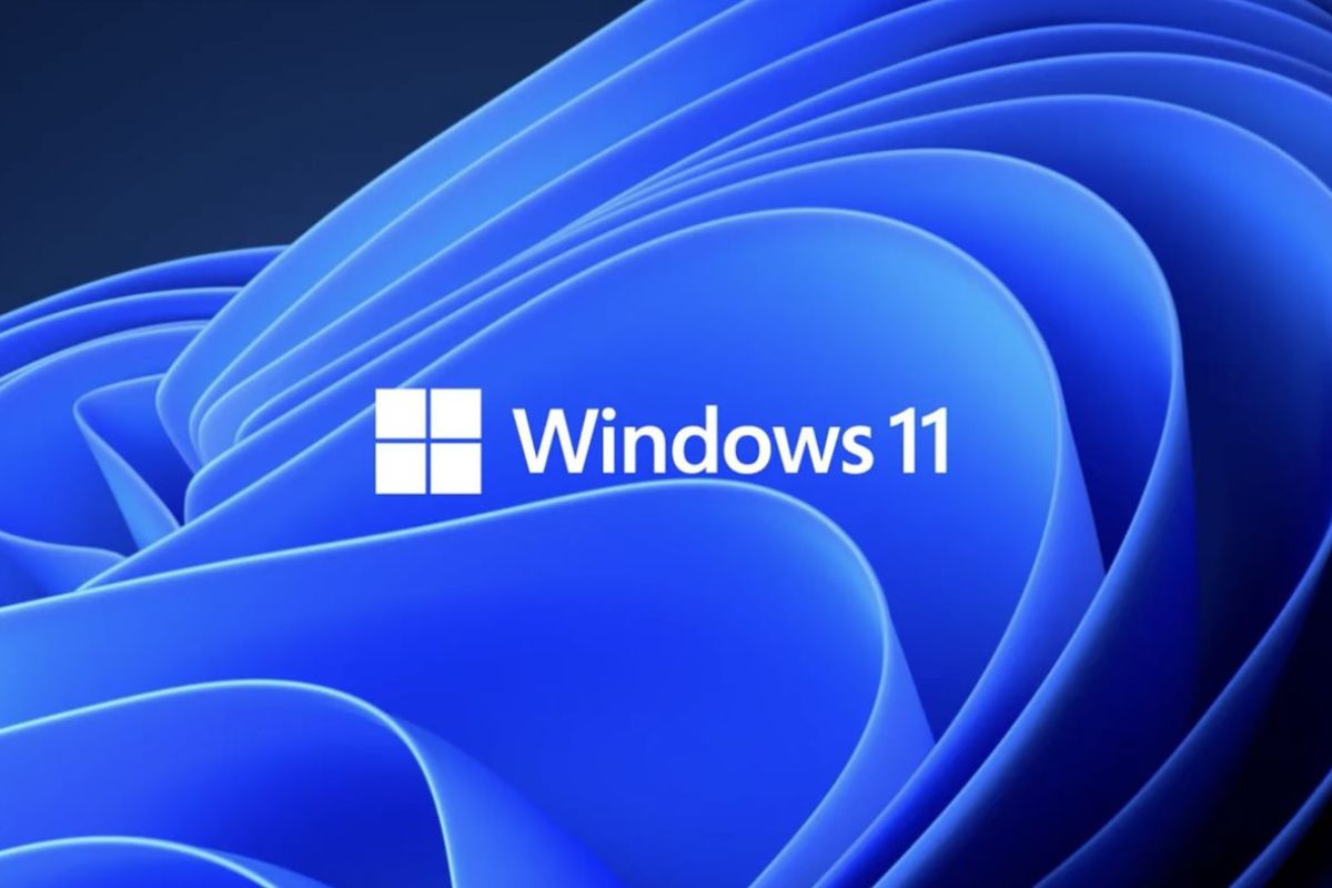 Windows 11 logo