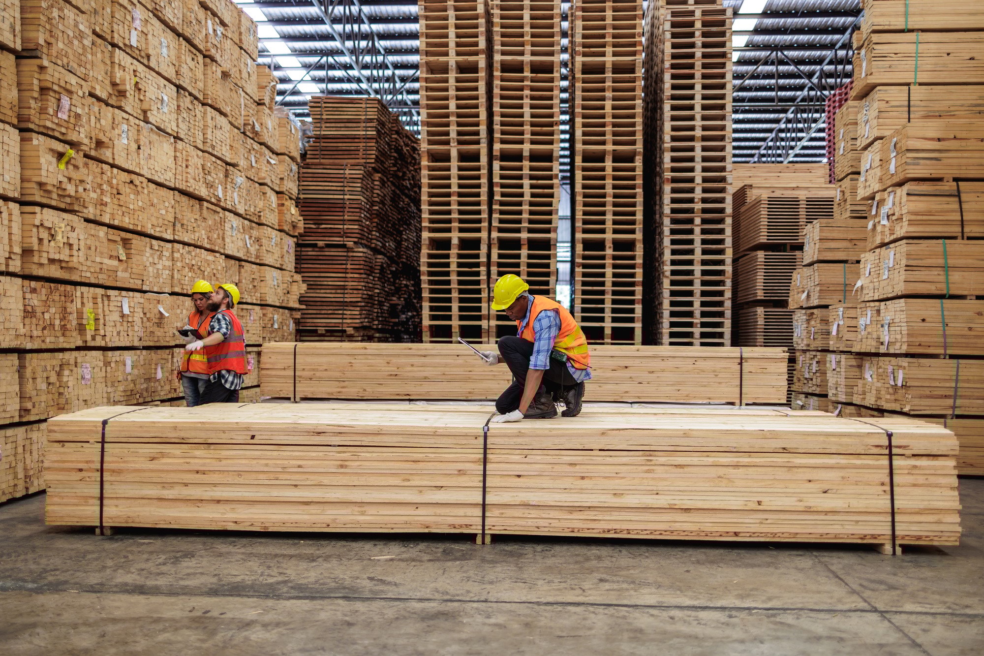 Inventory Management, Workers Measuring and Assessing Lumber Stock