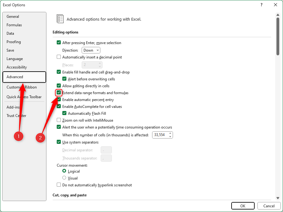 The Excel Options window, with Extend Data Range Formats And Formulas checked in the Advanced section.