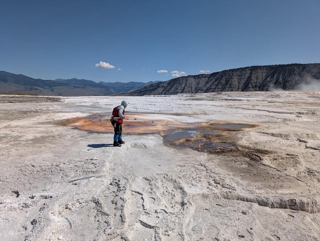 Yellowstone National Park Geology Program team member Mara Reed uses a long grabber pole to remove a park map, presumably blown from a visitor's hand or pack by the wind, from a feature in Upper Mammoth Terraces. CREDIT: National Park Service photo by Samantha Hilburn, August 2025.