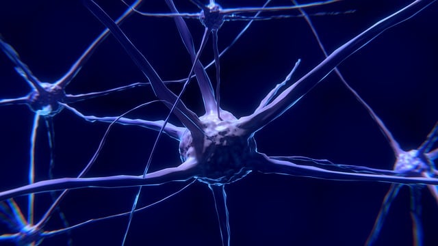 Brain network active at birth linked to social behavior later in life
