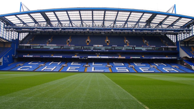 Chelsea’s Palmer faces six weeks out with injury